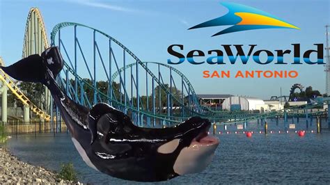 Seaworld san antonio fotos - One of the top 10 tourist attractions in Texas. SeaWorld San Antonio, all 416 acres of it, is one of the the largest marine life parks in the world and one of the top 10 tourist attractions in Texas. Located at 10500 Sea World Drive, in the Westover Hills District of San Antonio, on the city's west side, it serves as a marine mammal …